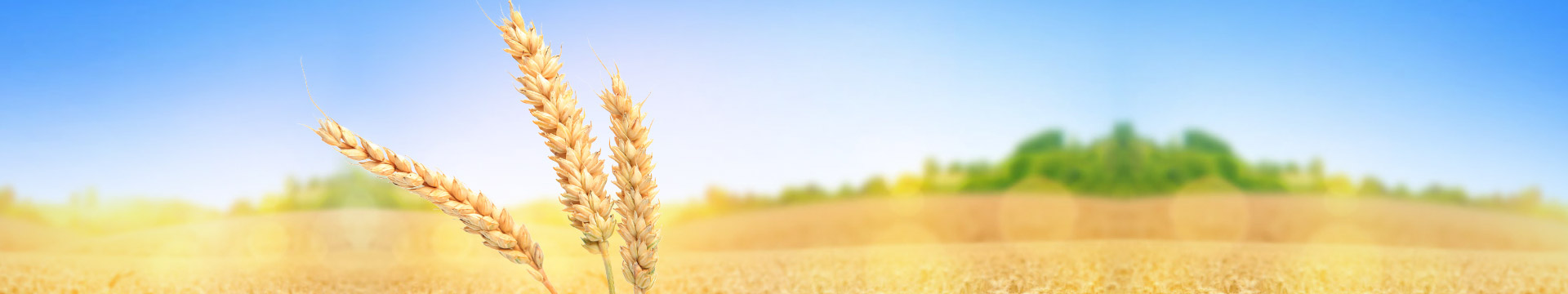 產品中心 產品中心